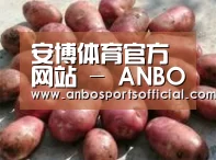 产品展示标题5