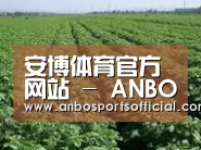 种植基地五(图1)