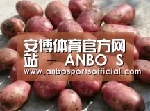 产品展示标题5(图1)