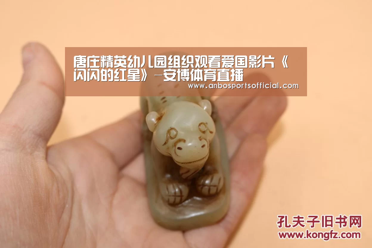 唐庄精英幼儿园组织观看爱国影片《闪闪的红星》-安博体育直播(图1) 安博体育官方下载