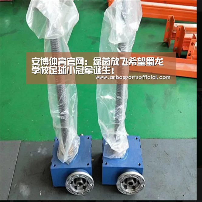 安博体育官网:绿茵放飞希望蜀龙学校足球小冠军诞生!(图2) 安博体育官网