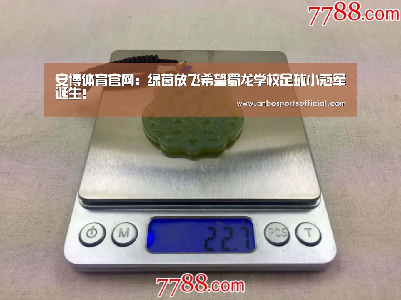 安博体育官网:绿茵放飞希望蜀龙学校足球小冠军诞生!(图3) 安博体育